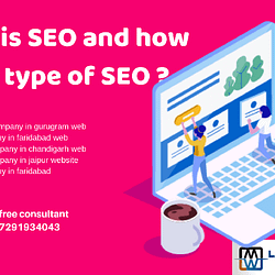 what is seo and it's types