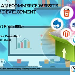 Website Designign company in rohini Delhi