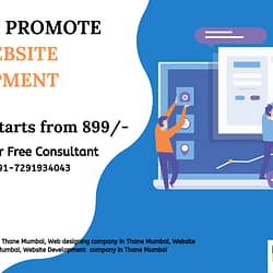 Promote Your Website Development
